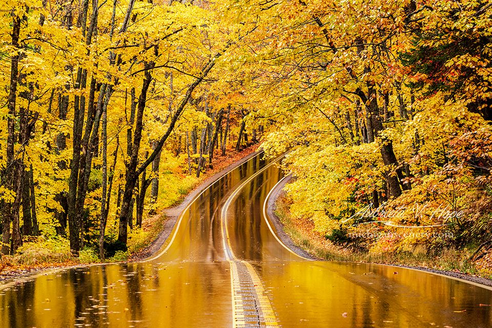 Najlepsze zdjęcia krajobrazowe w konkursie Landscape Photo of the Year 2019 4