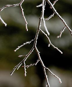 Do Polski wróci silny mróz. Nawet -15 st. C