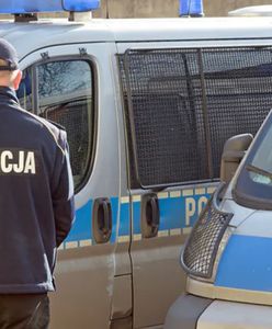 Internetowy oszust zatrzymany. Wyłudził aż 230 tys. zł