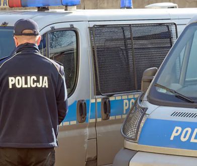 Internetowy oszust zatrzymany. Wyłudził aż 230 tys. zł