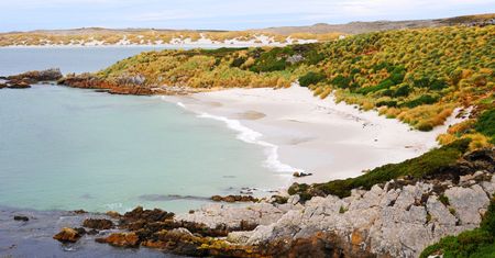 Falklandy – co warto zobaczyć w tym zakątku świata?