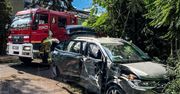 Warszawa: Uderzyli w drzewo kradzionym autem i uciekli pieszo