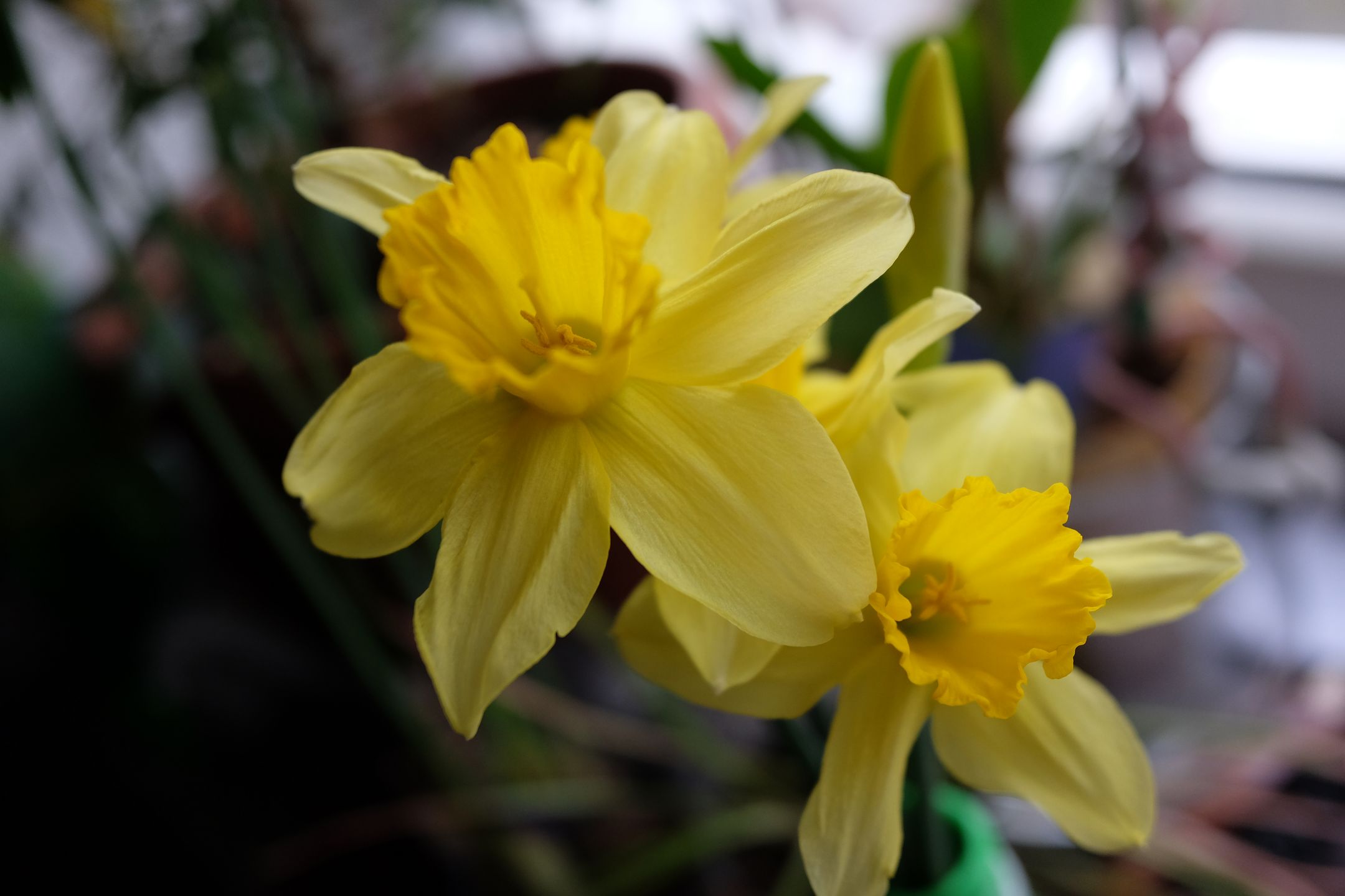 Fujifilm X70 - kieszonkowe APS-C [test] 92