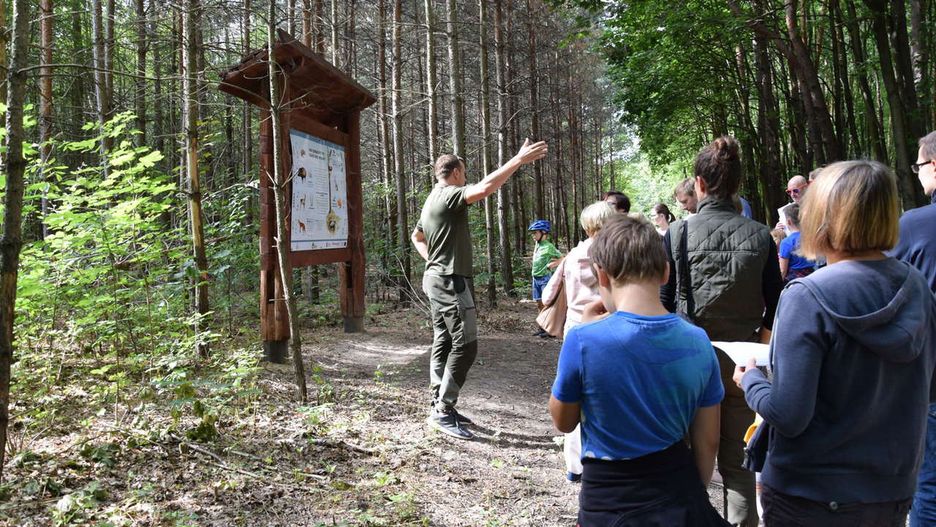 Warszawa. Lasy Miejskie zapraszają na wspólne spacery po lesie