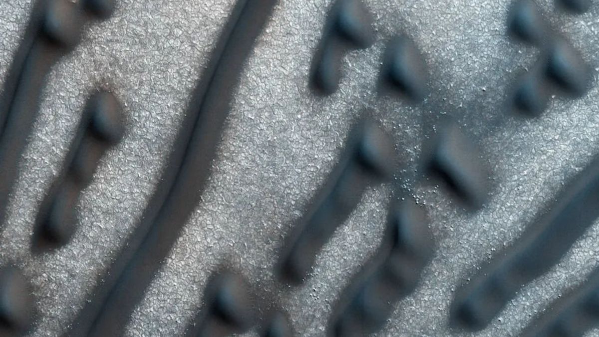 Kształty wzbudziły zainteresowanie