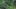 420730325489833800