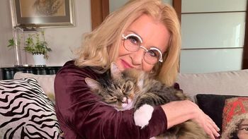 Tak mieszka Majka Jeżowska. W jej domu królują futrzaści przyjaciele