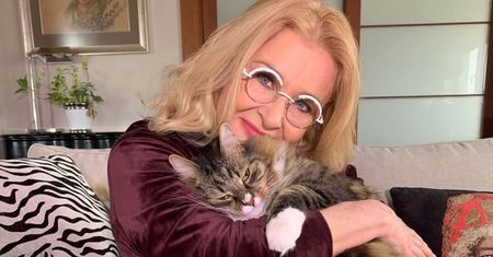 Tak mieszka Majka Jeżowska. W jej domu królują futrzaści przyjaciele