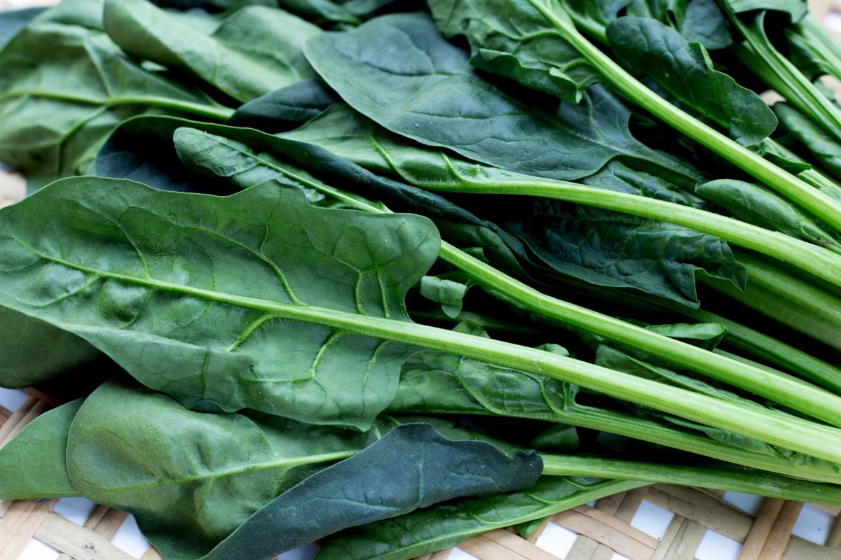 Washed and dried spinach on a small plate