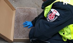 Katowice. Zatrzymali ciężarówkę do kontroli, ładunek mocno ich zaskoczył