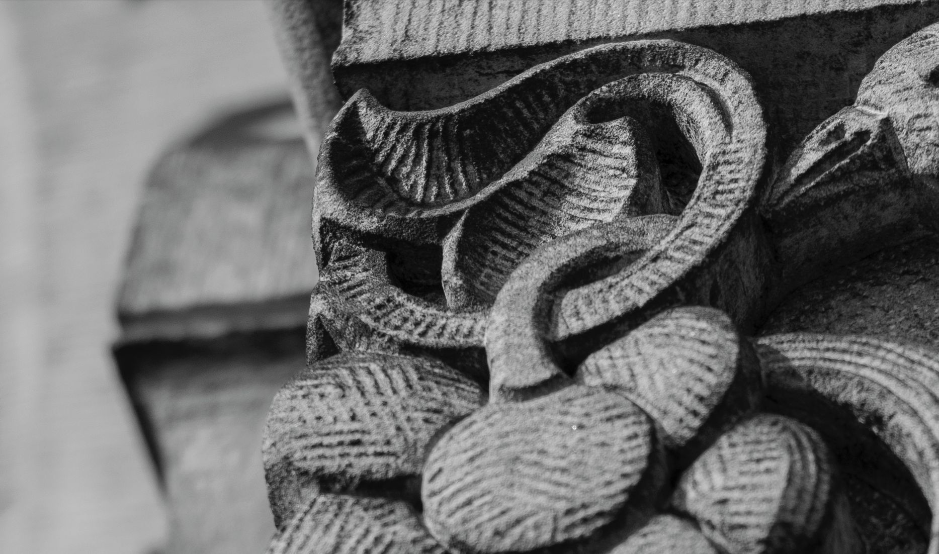 Niewielki może bardzo dużo! Voigtländer Nokton 50 mm f/1,5 31