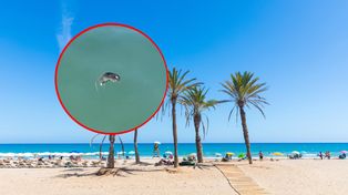 Szczury na plaży i w wodzie w europejskim kurorcie. Turyści przerażeni