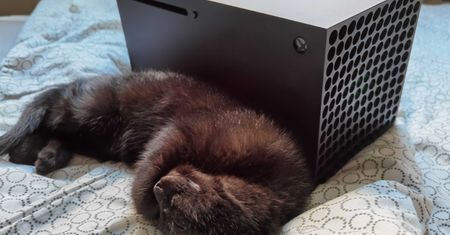 Xbox Series X oraz Xbox Series S najszybciej sprzedającą się konsolą w historii firmy
