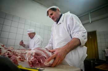 Ważna zmiana dla rolników. Chodzi o żywność pochodzenia zwierzęcego