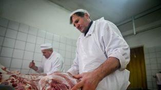 Ważna zmiana dla rolników. Chodzi o żywność pochodzenia zwierzęcego