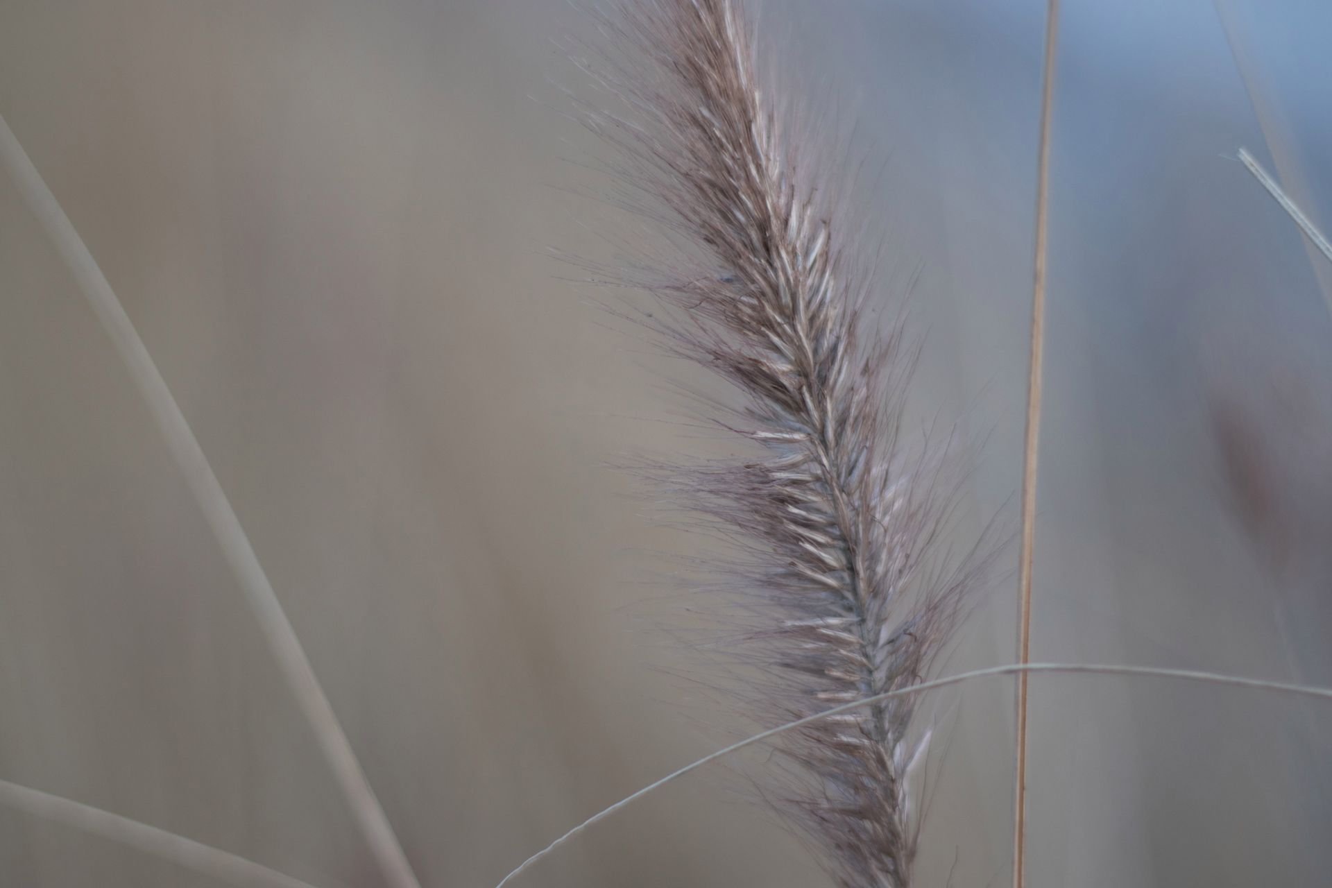 Canon EOS M5 - test bezlusterkowca, na którego długo czekaliśmy 115