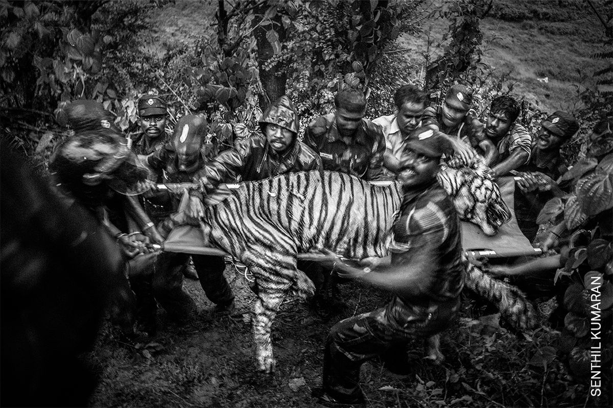 World Press Photo 2022: Poznaj najlepszych fotografów różnych kontynentów 39