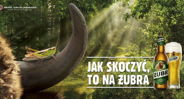 „Jak skoczyć, to na Żubra” - Kompania Piwowarska rusza z nową kampanią (wideo)