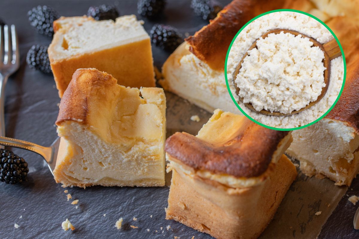 What is the best curd cheese for cheesecake?