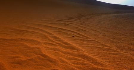 Sahara. Niesamowite odkrycie polskich naukowców