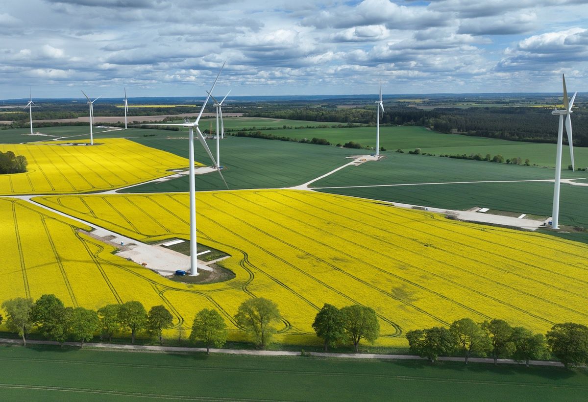 Cyfrowy Polsat zbudował swoją rekordową farmę wiatrową. Prąd dla 180 tys. domów