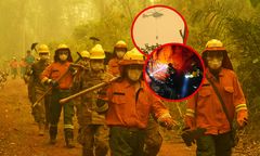 Stan klęski narodowej w Boliwii. Ogromne pożary lasów Amazonii