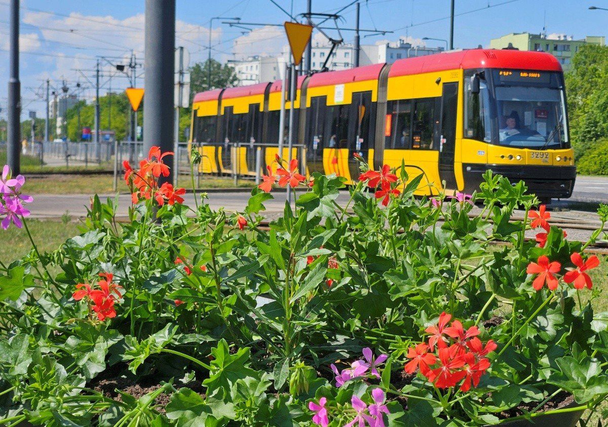 Dotąd ozdabiały pętle, a teraz mogą zabrać je mieszkańcy