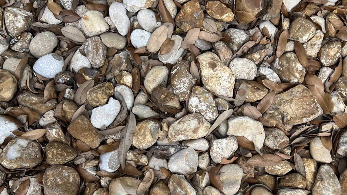 Kobieta zgubiła na plaży obrączkę