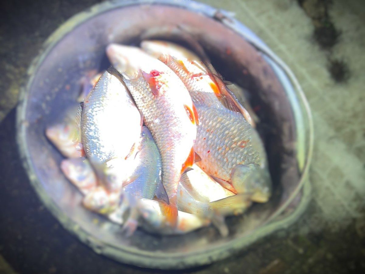 Nielegalny połów ryb na Wiśle. Policja i Straż Rybacka apelują o przestrzeganie przepisów