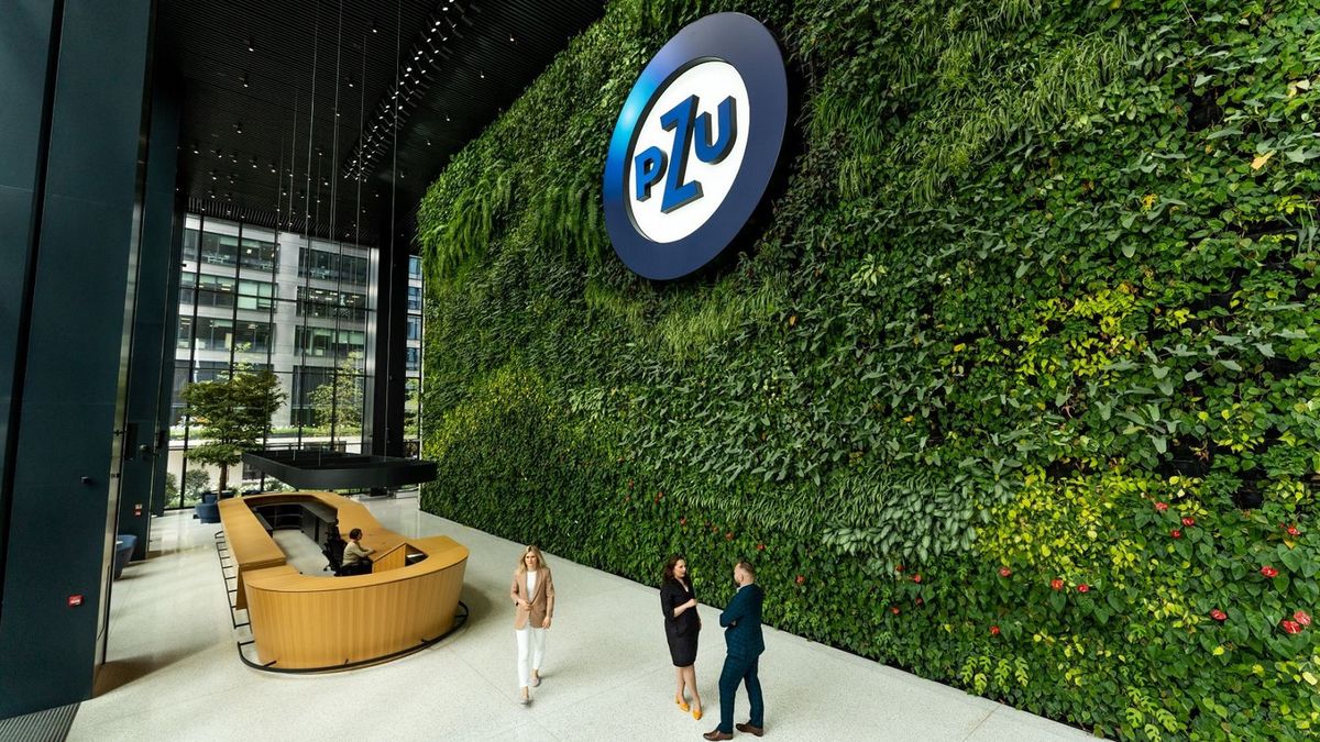 Dobry początek roku Grupy PZU. Szybka realizacja strategii 