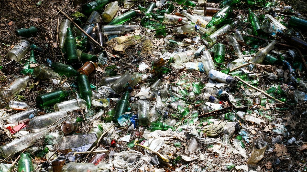 Śmieci (zdjęcie ilustracyjne)