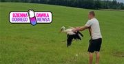 Znaleźli w polu rannego bociana. Po dwóch miesiącach znów wzbił się w powietrze