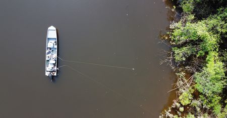 Niepokojące zjawisko w jeziorach Amazonii. Naukowcy alarmują
