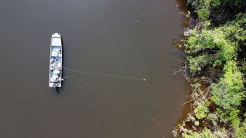 Niepokojące zjawisko w jeziorach Amazonii. Naukowcy alarmują