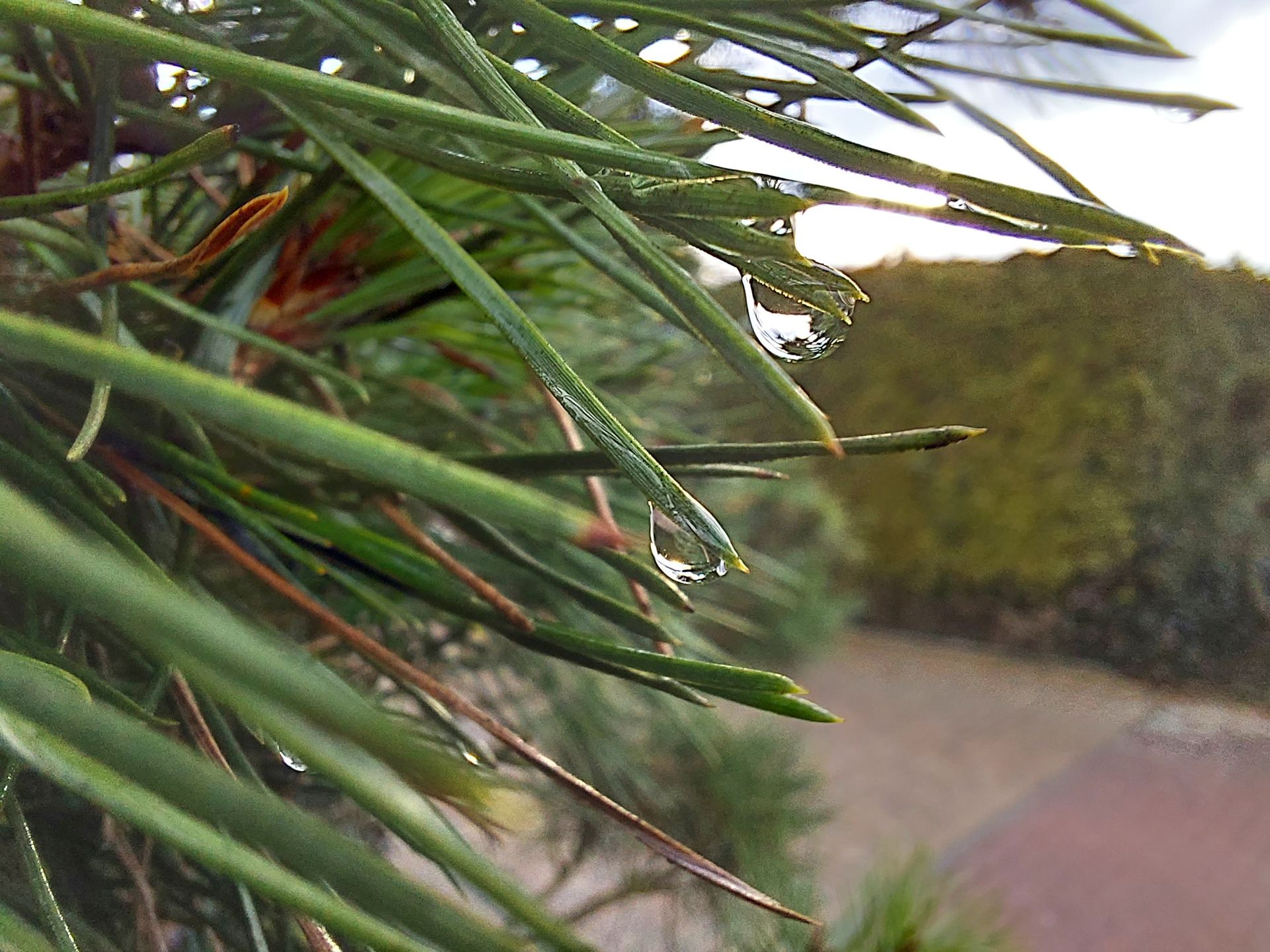 Smartfon szyty na miarę. Test Samsunga Galaxy A52 5G 57