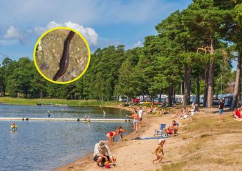 Czyha na urlopowiczów. "Nie krzycz. To nie pomoże. Ona nie zna litości"