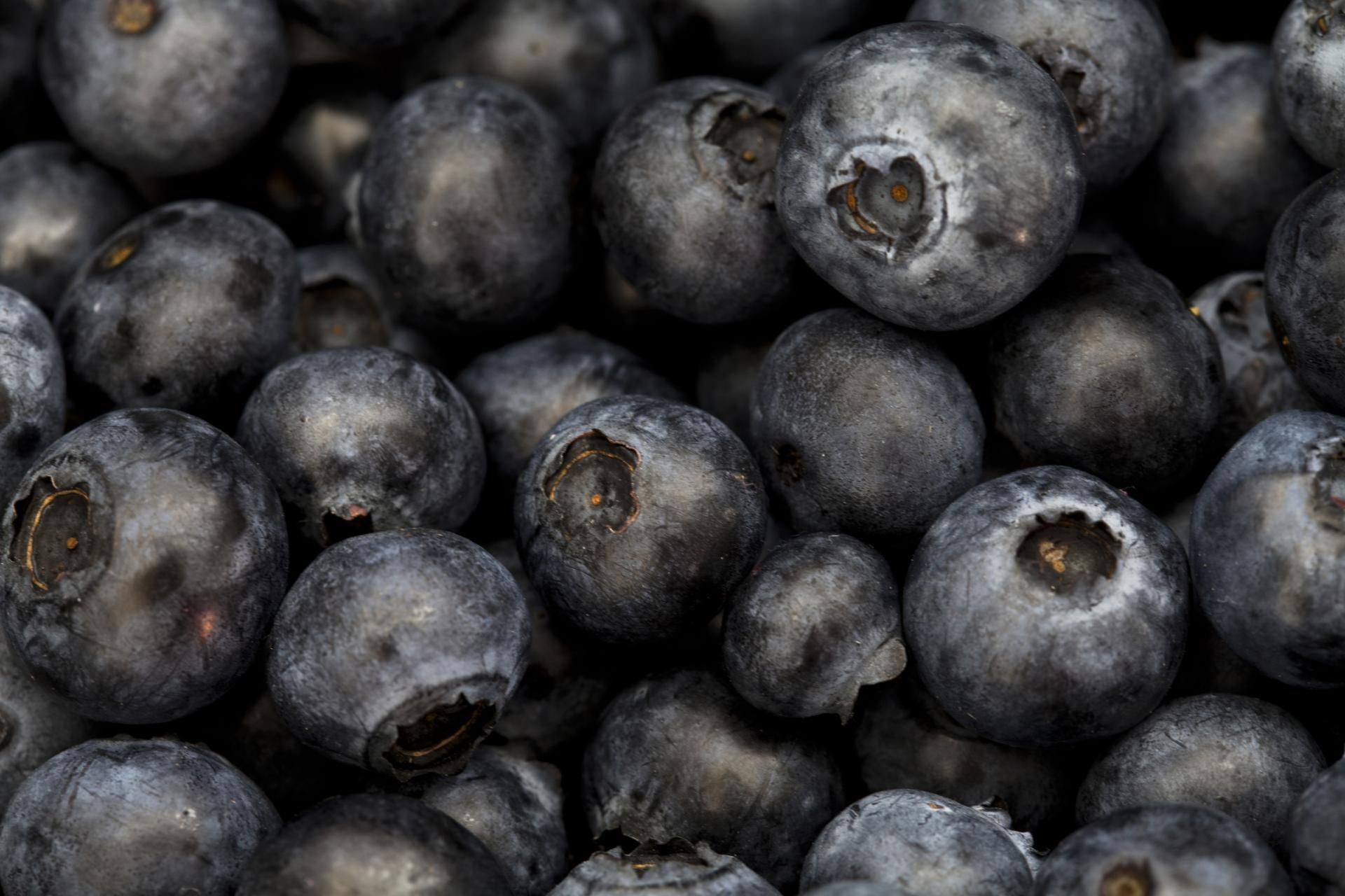 Owoce jagodowe wspierają wątrobę