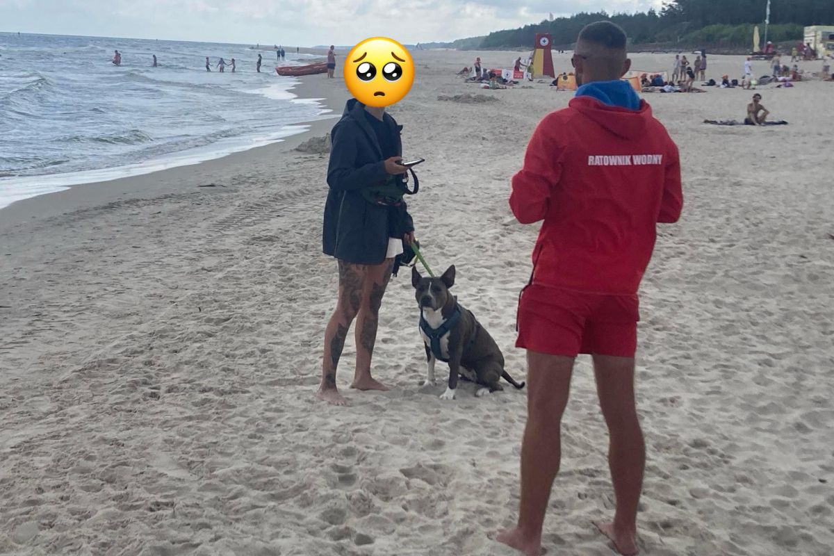 Spór na plaży w Łebie. Znowu poszło o psa