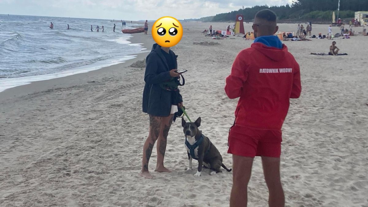 Spór na plaży w Łebie. Znowu poszło o psa