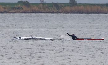 Przygotowania do akcji ratunkowej Timmy'ego. Niemcy uruchamiają plan "B"