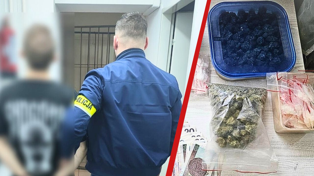 10 lat więzienia grozi dilerowi z Łobżenicy