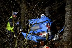 Polska jazda. Jaki będzie efekt wprowadzenia nowych stawek mandatów