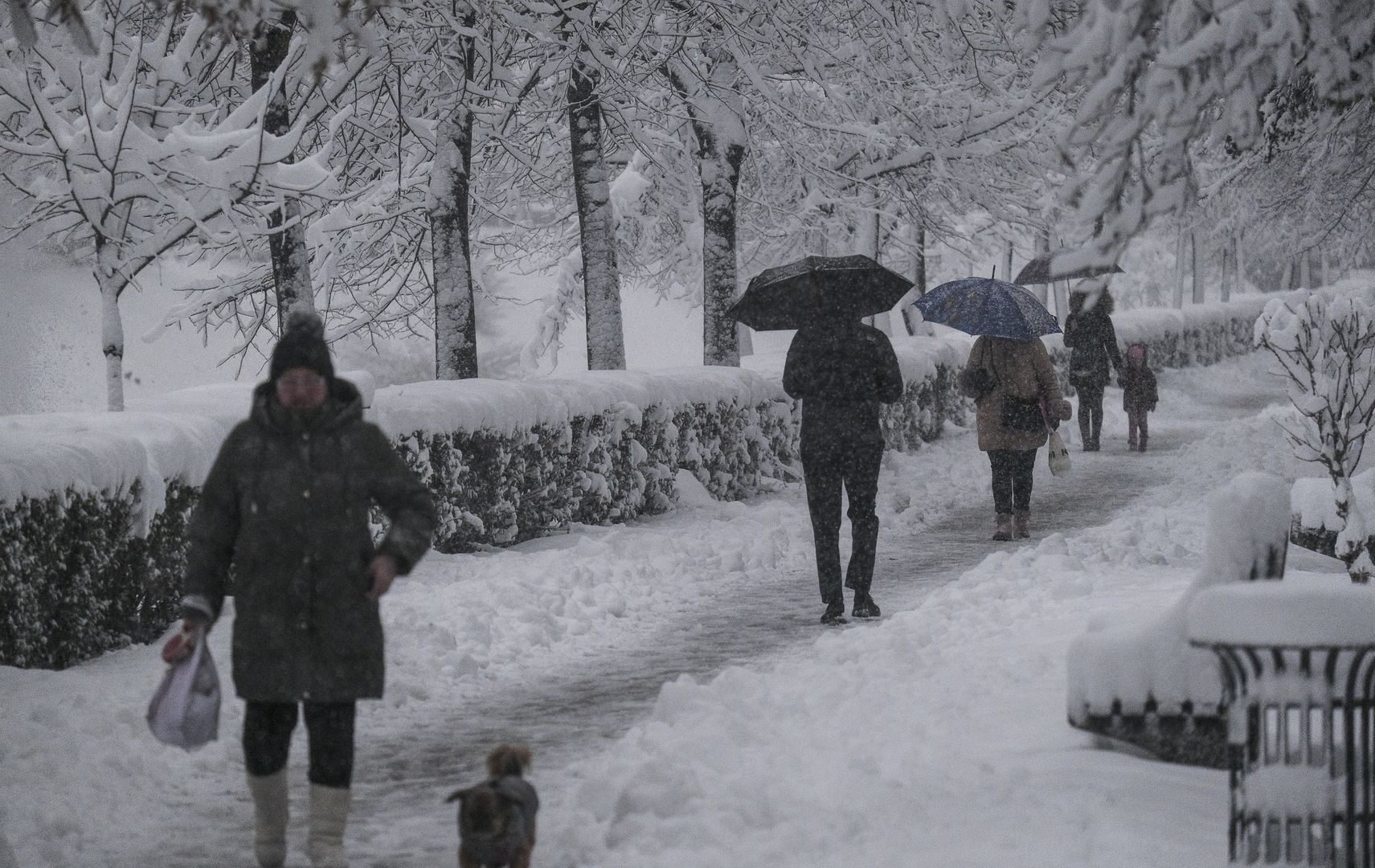 Śnieg paraliżuje Bałkany. Tysiące domów bez prądu