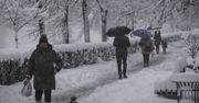 Śnieg paraliżuje Bałkany. Tysiące domów bez prądu