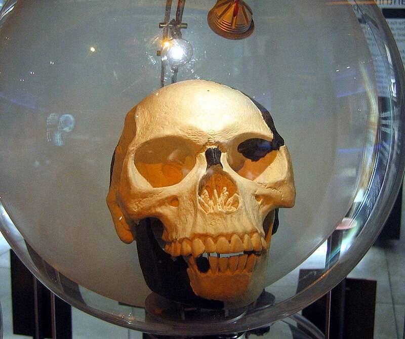 Współczesna rekonstrukcja czaszki człowieka z Piltdown
