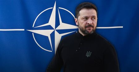 Ruch Zełenskiego ws. NATO. Ekspert: to jest powiedzenie "sprawdzam"