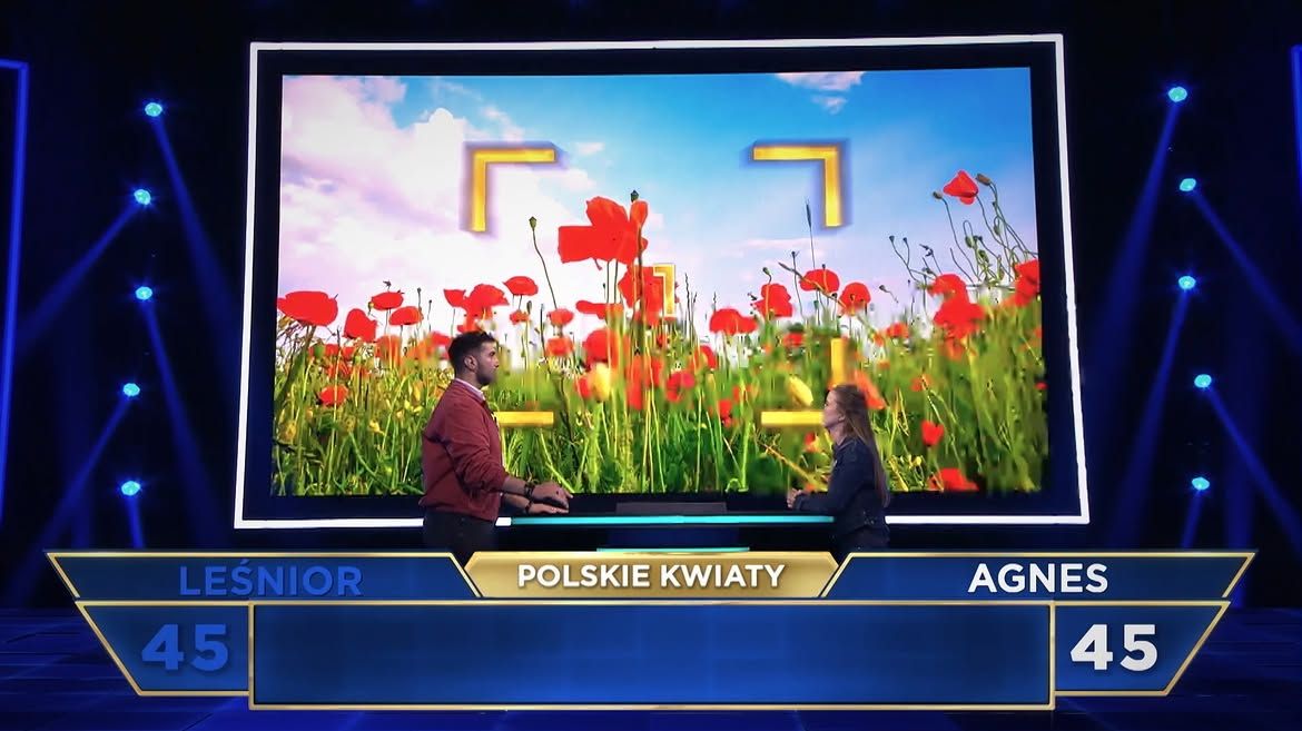 Influencerzy vs polskie kwiaty w "The Floor"