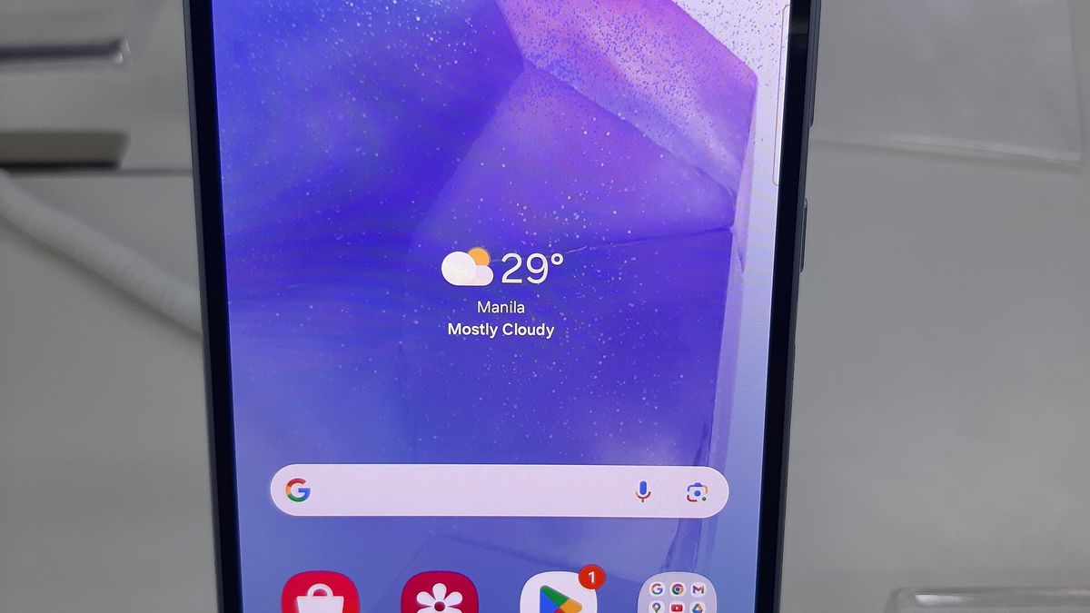 Samsung Galaxy A55