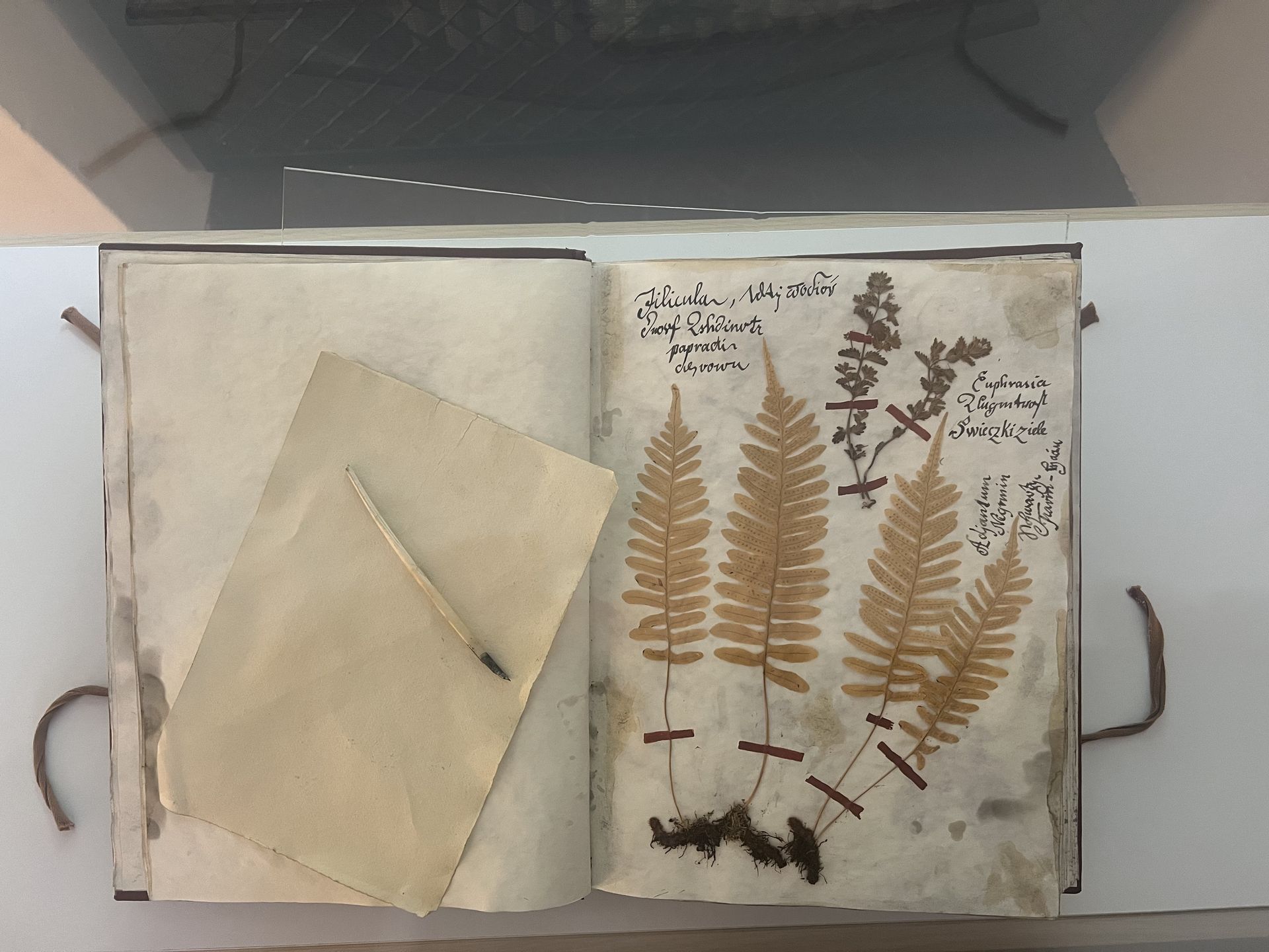 We wnętrzach klasztoru