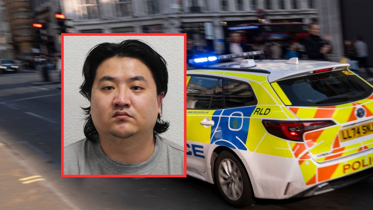 Wielka Brytania: Mężczyzna przyznał się do 24 przestępstw 